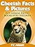 Cheetah Facts & Pictures (F...