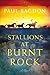 Stallions at Burnt Rock (We...
