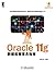 Oracle 11g数据库管理员指南