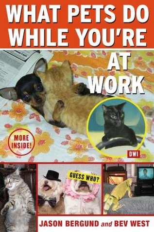 What Pets Do While You're at Work (Paperback)