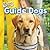Guide Dogs