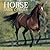 Horse Tails And Trails: A Fun And Informative Collection Of Everything Equine