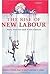 The Rise of New Labour: Par...