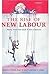 The Rise of New Labour by Anthony F. Heath