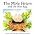 The Mole Sisters and the Blue Egg by Roslyn Schwartz