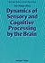 Dynamics of Sensory and Cog...