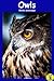 Owls - Learn About Their World With 36 Beautiful Pictures (WOW! All About Animals - Internet Linked)