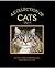 A Collection of Cats Tales
