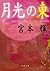 月光の東