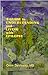 Guide to Understanding and Living with Epilepsy by Orrin Devinsky