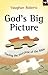 God's Big Picture by Vaughan Roberts