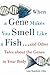 When a Gene Makes You Smell Like a Fish by Lisa Seachrist Chiu
