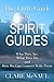 The Little Guide to Spirit Guides: Who They Are, What They Do and How We Can Connect with Them