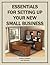 Essentials For Setting Up Your New Small Business (Business Basics Book 1)
