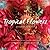 Tropical Flowers