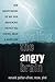 Healing the Angry Brain: How Understanding the Way Your Brain Works Can Help You Control Anger and Aggression