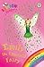 Emily the Emerald Fairy by Daisy Meadows