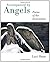 Accompanied by Angels: Poems of the Incarnation