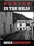 Buried In The Hills (DI Flynn Mysteries Book 2)