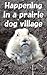 Happening in a prairie dog village