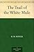 The Trail of the White Mule