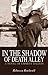 In the Shadow of Death Alley: A Novel of Emmett Dalton