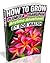 How To Grow Plumeria – Frangipani Anytime Anywhere! by Bob Walsh How To Grow Plumeria – Frangipani Anytime Anywhere! by Bob Walsh
