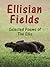 Ellisian Fields