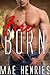 Fire Born (Phoenix Book 1)