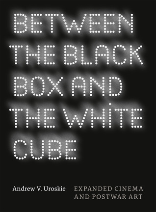 Between the Black Box and the White Cube: Expanded Cinema and Postwar Art (Paperback)