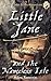 Little Jane and the Nameless Isle: A Little Jane Silver Adventure