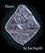 Flaws by Jon Ingold