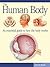 The Human Body (Expert Guides)