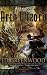 Arch Wizard (Falconfar Saga, #2)