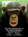 The Pictorial Guide to the Living Primates