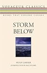 Storm Below