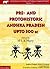 Pre- and Protohistoric Andhra Pradesh Up To 500 BC by M.L.K. Murthy