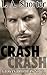 Crash (Logan Brothers, #2)