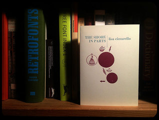 The Shore In Parts
