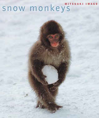Snow Monkeys (Paperback)