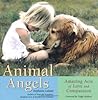 Animal Angels by Stephanie Laland