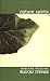 Nature Spirits: Selected Lectures