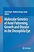 Molecular Genetics of Axial Patterning, Growth and Disease in the Drosophila Eye