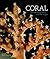 Coral: Something Rich and Strange
