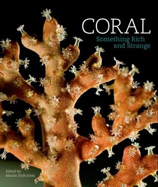 Coral: Something Rich and Strange (Paperback)