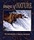 Images of Nature: The Photographs of Thomas D. Mangelsen