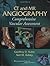 CT and MR Angiography: Comp...