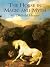 The Horse in Magic and Myth