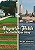 Magnetic Fields: An Amish L...