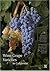 Wine Grape Varieties in Cal...